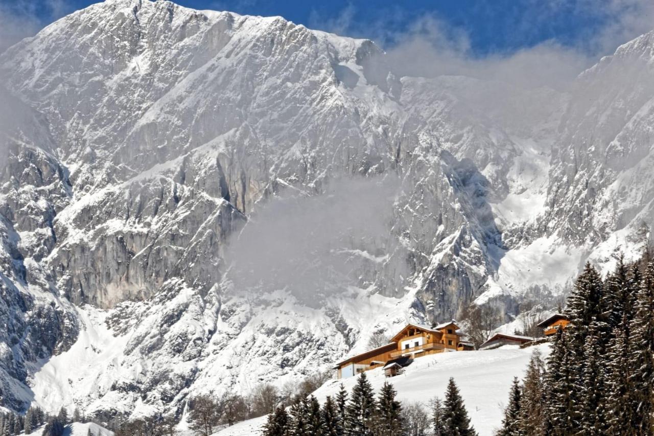 Gut Stein Panoramalodge มึลบาค อัม โฮคเคอนิก ภายนอก รูปภาพ
