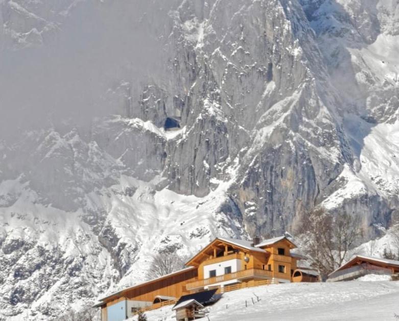 Gut Stein Panoramalodge มึลบาค อัม โฮคเคอนิก ภายนอก รูปภาพ