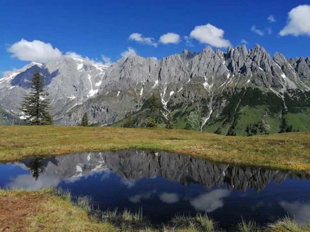 Gut Stein Panoramalodge มึลบาค อัม โฮคเคอนิก ภายนอก รูปภาพ