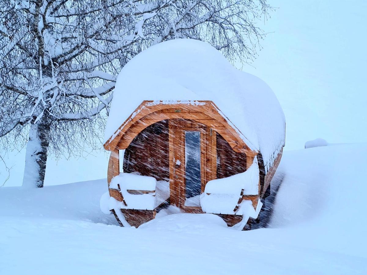 Gut Stein Panoramalodge มึลบาค อัม โฮคเคอนิก ภายนอก รูปภาพ