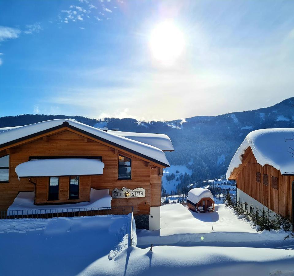 Gut Stein Panoramalodge มึลบาค อัม โฮคเคอนิก ภายนอก รูปภาพ